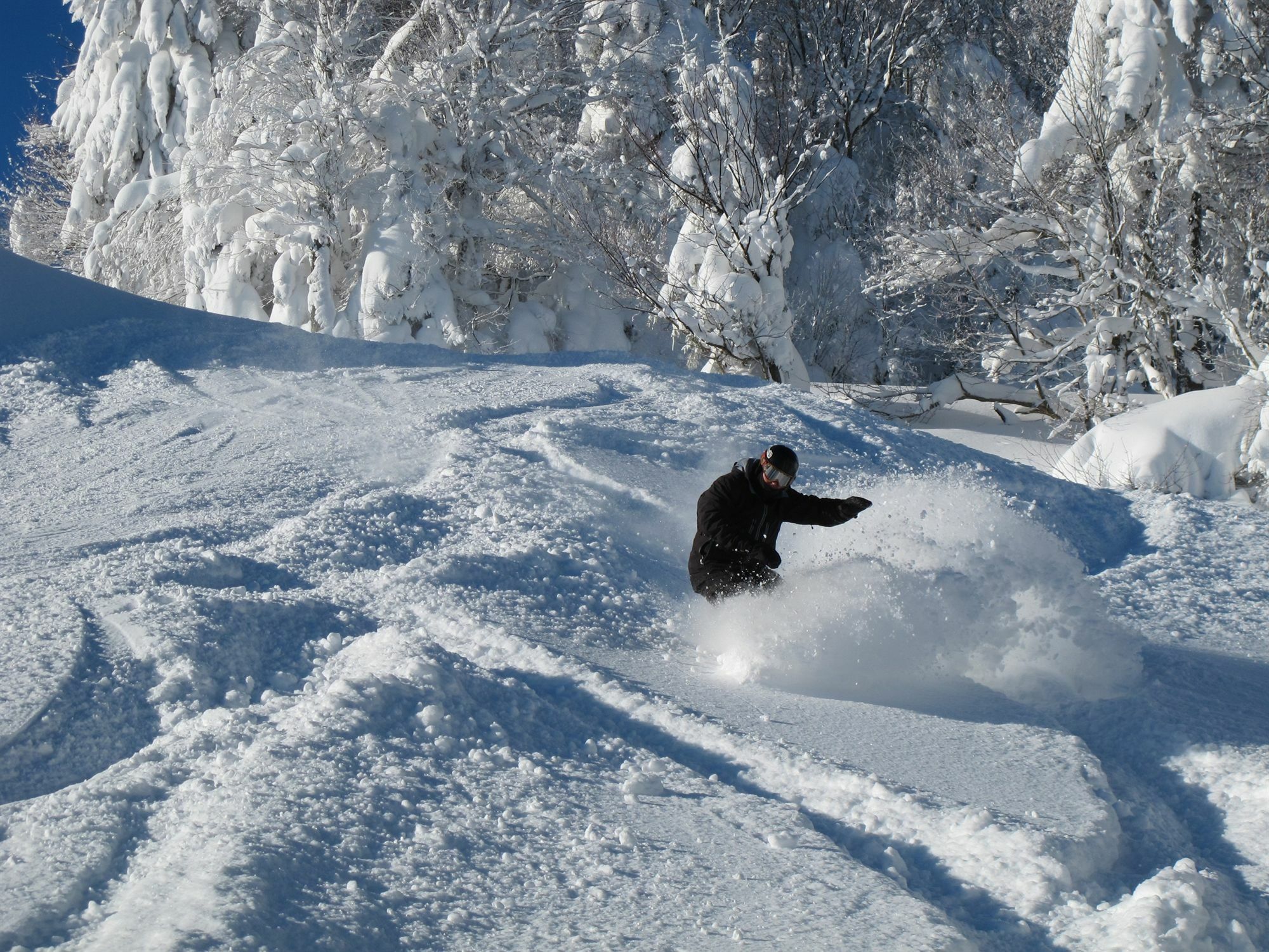 Seneca - Snowshoe Esterno foto